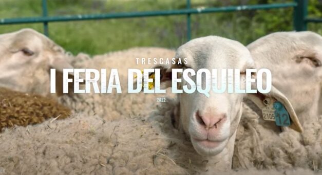 Trescasas celebra su historia lanera con la I Feria del Esquileo