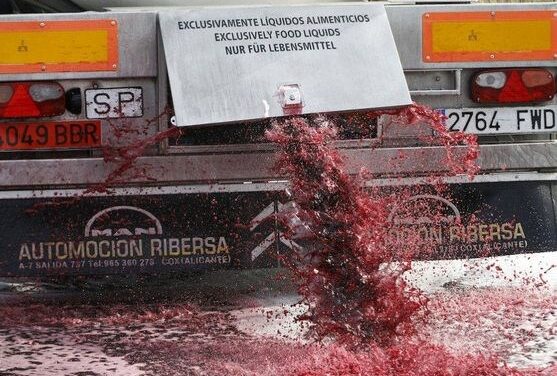 La Unión, ante el “intolerable” ataque galo a vinos españoles: “A los viticultores franceses y a los españoles nos están arruinando los mismos: Políticos, industria y distribución”