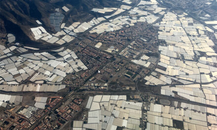 ‘Unos pocos enriquecidos, todos en peligro’: Científicos del CSIC alertan sobre las consecuencias sociales, económicas y ambientales de uberizar la agricultura en zonas áridas