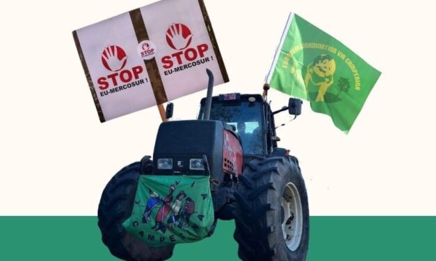 “Las políticas neoliberales europeas”, principales responsables de las protestas del campo, según la Vía Campesina Europea
