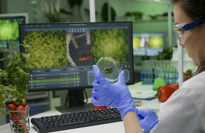 UCCL pide a los eurodiputados españoles votar contra el informe del Europarlamento sobre nuevas técnicas genómicas