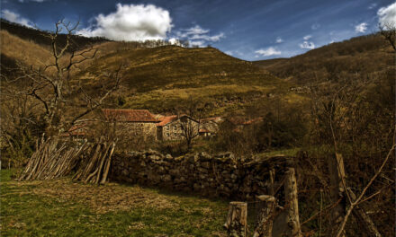 FADEMUR publicará el Libro Blanco del Envejecimiento Rural a finales de febrero