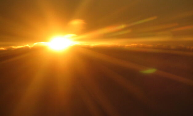 El de 2024 ha sido el enero más cálido desde que hay registros