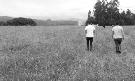 Cinco de los seis últimos asesinatos machistas se han producido en el medio rural, alerta FADEMUR