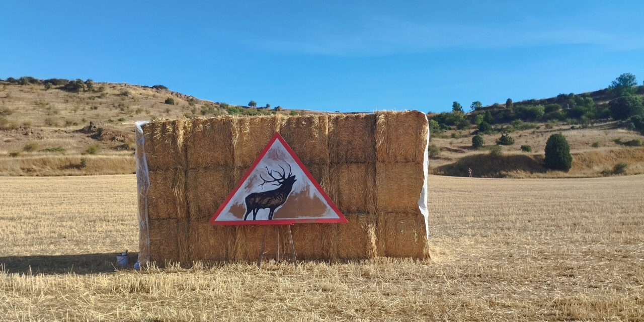 ‘El bramido de la Tierra’: “Una reflexión sobre la convivencia entre el hombre y la naturaleza”