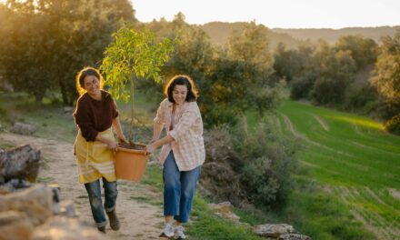 Mujeres de Cine amplía su ámbito a zonas no urbanas con la Jornada ‘Nuevas Ruralidades Nosotras Contamos’