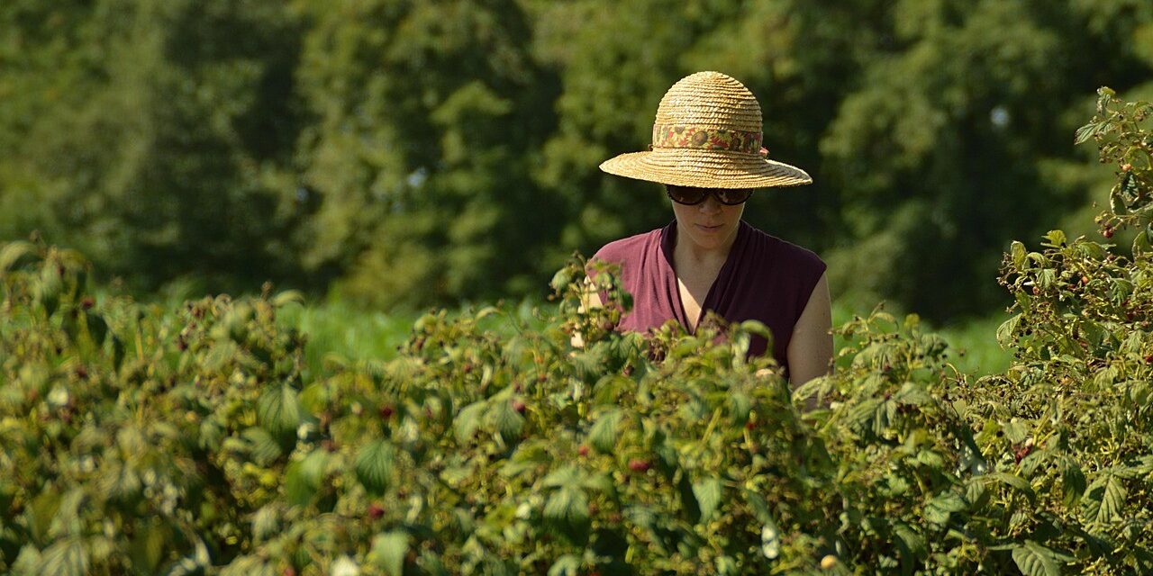 Las mujeres rurales suponen el 30% del emprendimiento rural, pero solo acceden al 2% de la financiación disponible en la UE