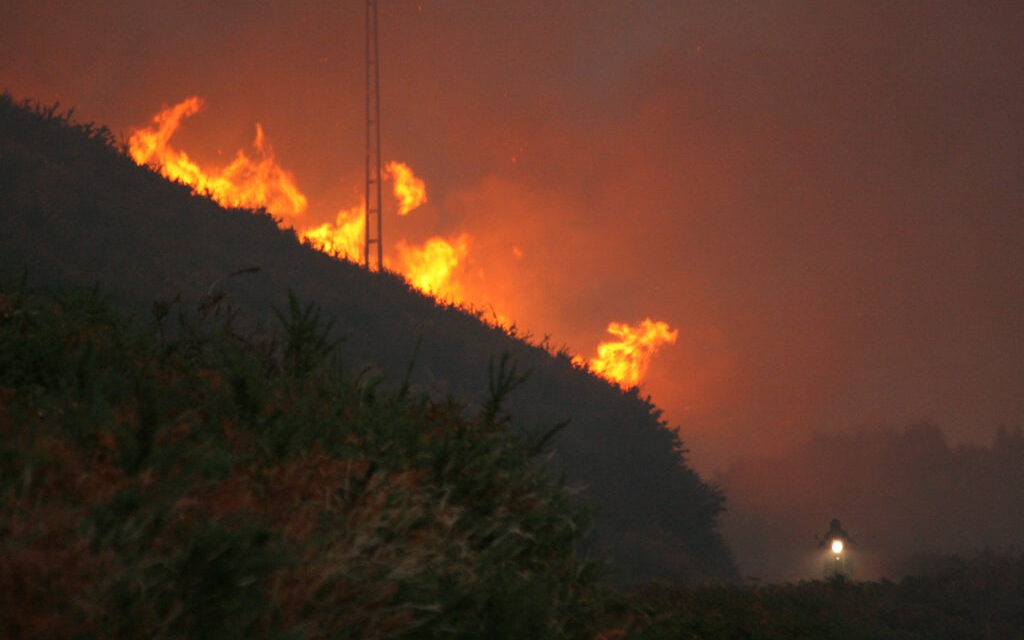 Vía Campesina Europea, ante los incendios: “Negar la evidencia climática es no afrontar los problemas, que son los modelos económicos”
