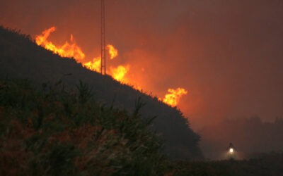 Vía Campesina Europea, frente a los incendios: “En el negacionismo hay unos intereses económicos claros”