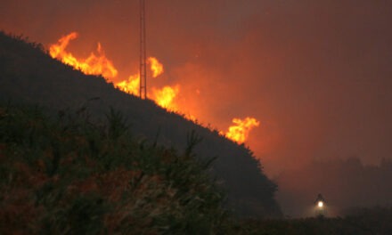 Vía Campesina Europea, ante los incendios: “Negar la evidencia climática es no afrontar los problemas, que son los modelos económicos”
