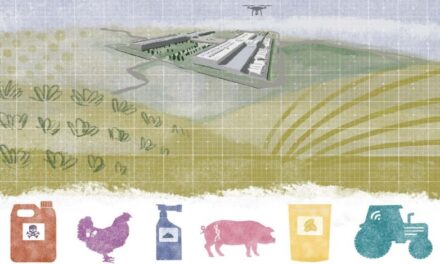 El oligopolio del hambre: Diez gigantes del tecnoagronegocio acaparan seis sectores alimentarios clave a nivel global