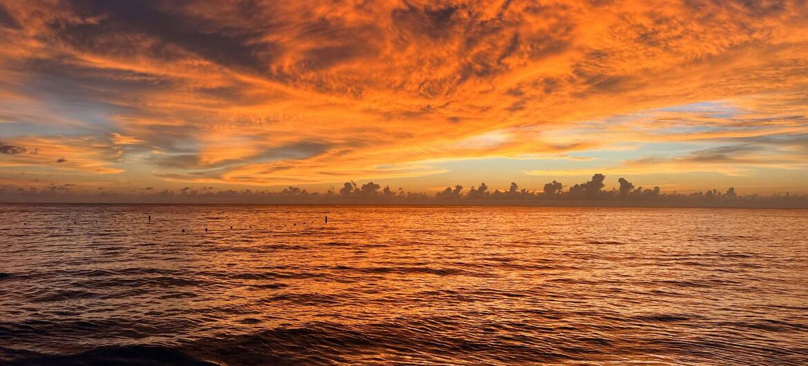 La Tierra ha vivido su agosto más caluroso desde que hay registros